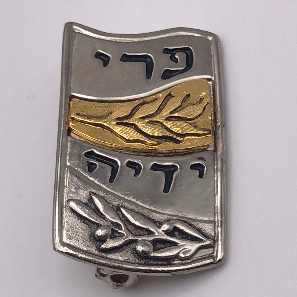 EYTAN TORAH FUND BROOCH PENDANT for 5777 (2016-17) was designed by Eytan Brandes